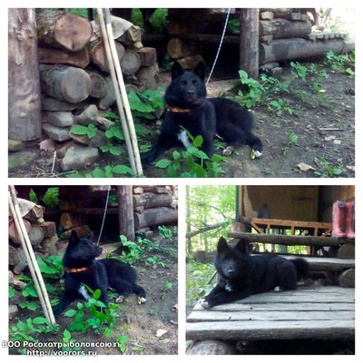 IMG-20160623-WA0002.jpg