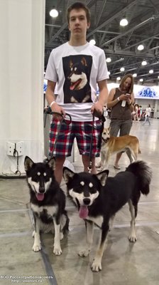 WP_20160623_12_04_50_Rich.jpg