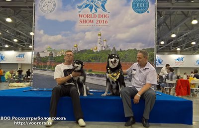 WP_20160623_12_18_02_Rich.jpg