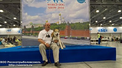 WP_20160623_12_23_23_Rich.jpg