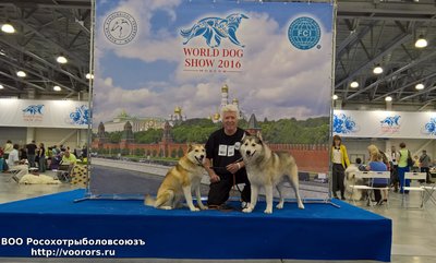 WP_20160623_12_24_39_Rich.jpg
