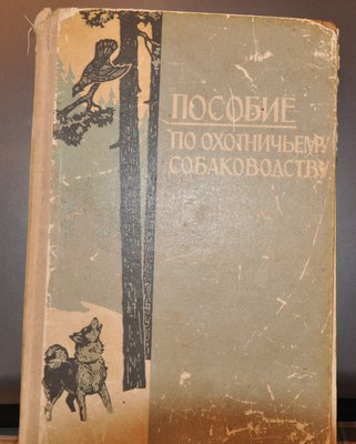 DSC_0711.JPG