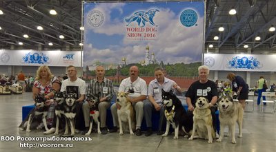WP_20160623_12_22_00_Rich.jpg