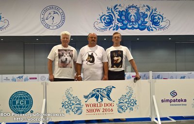 WP_20160623_12_58_04_Rich.jpg
