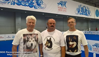 WP_20160623_12_57_46_Rich.jpg