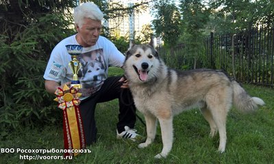 WP_20160623_20_02_23_Pro.jpg