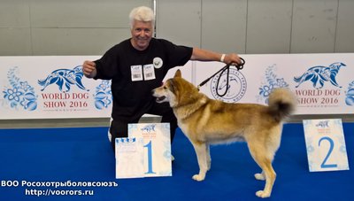 WP_20160623_12_38_06_Rich.jpg