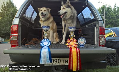 WP_20160623_20_07_09_Pro.jpg