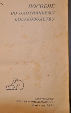 DSC_0712.JPG