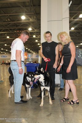 IMG_3498.JPG