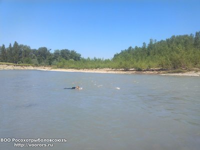 IMG_20160627_102819.jpg
