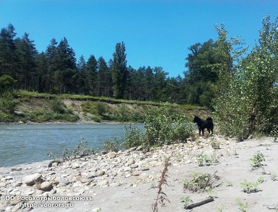 IMG_20160627_105805.jpg
