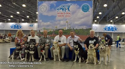 WP_20160623_12_22_00_Rich.jpg