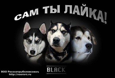x_18b79993.jpg