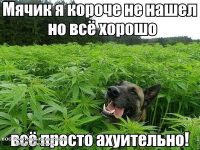 image (2).jpg