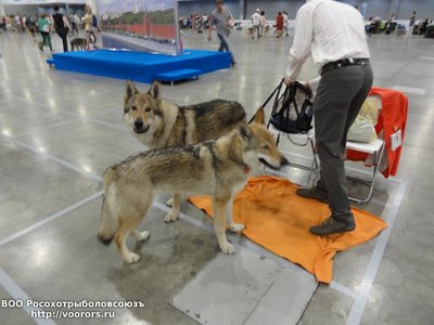 DSC08232.JPG