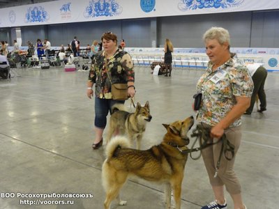 DSC08252.JPG