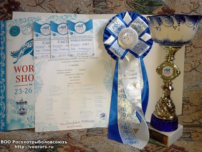 20160623_161557.jpg