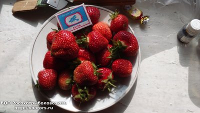 DSC_0001.JPG