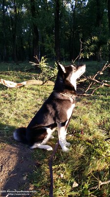 20140926_080707.jpg