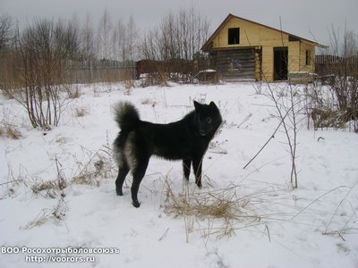 DSC05135.JPG