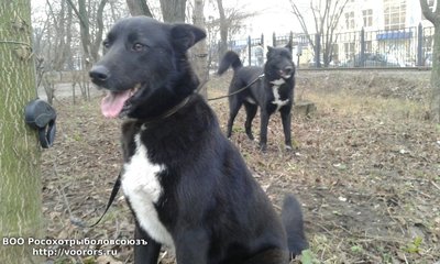 IMG-20160608-WA0001.jpg
