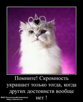 skromnost-kak-porok._1361262551.jpg
