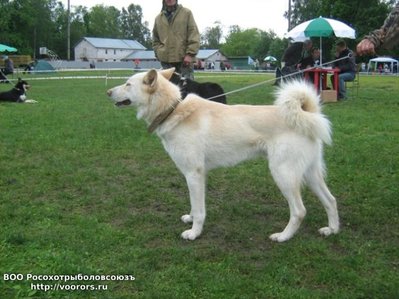 23563_Копия IMG_1693.JPG
