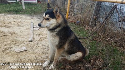 20151223_113306.jpg