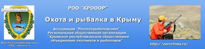 Шапка сайта.jpg