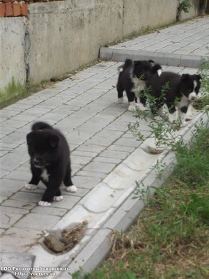 DSCF7148.JPG