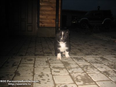 IMG_4147.JPG