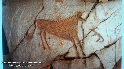 foto (5).jpg