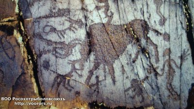 foto (3).jpg
