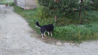 DSC_0005.JPG