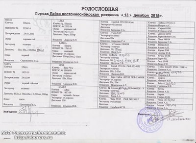 2. Б (1).jpg