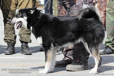 nizhnevartovsk2016_vsl_01.jpg