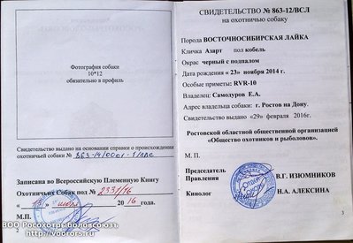 20160811_182238.jpg