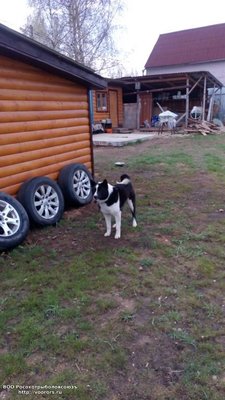 IMG_20160430_073834.jpg