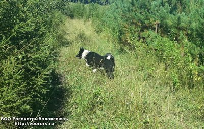 20160816_141140.jpg