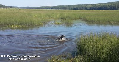 20160816_141501(0).jpg