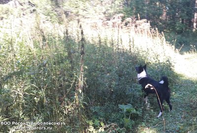 20160816_145803.jpg