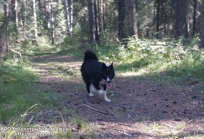 20160816_150253(0).jpg