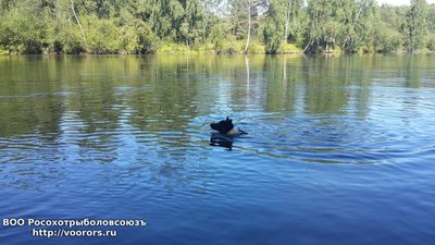 20160816_151152.jpg