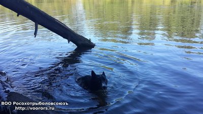 20160816_151208.jpg