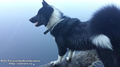 20160816_151828.jpg