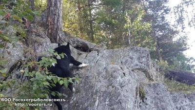 20160816_151903(0).jpg