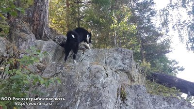 20160816_151916.jpg