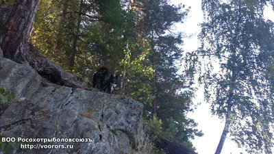20160816_151920.jpg
