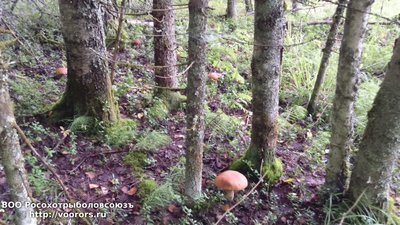 DSC_0025.JPG